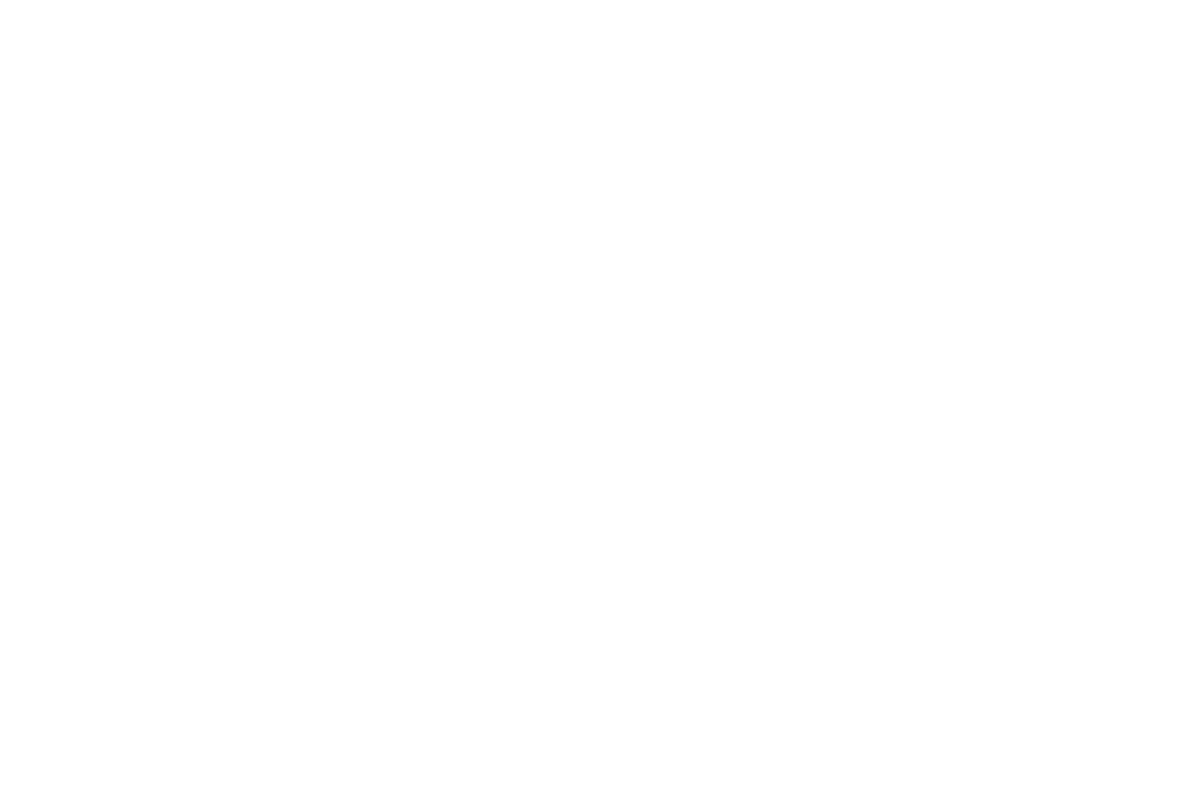 Amin El Sharkawi